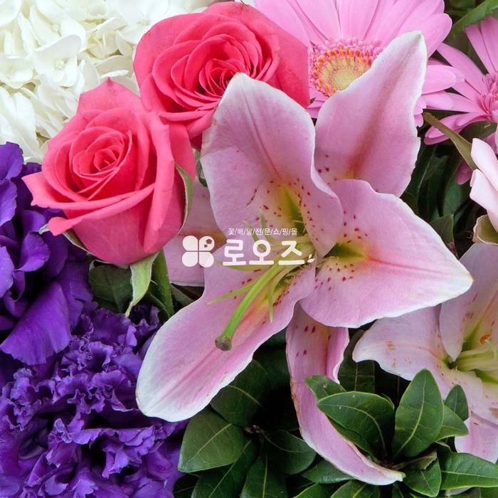 상세이미지