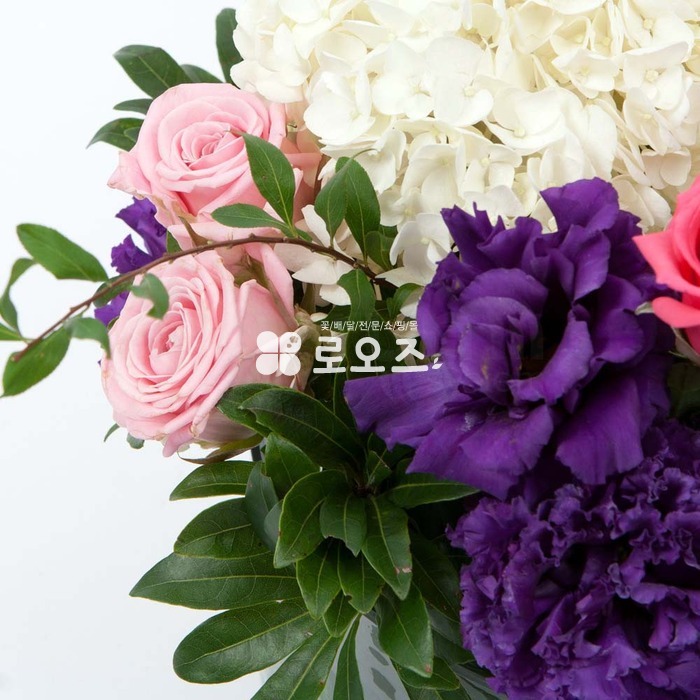 상세이미지