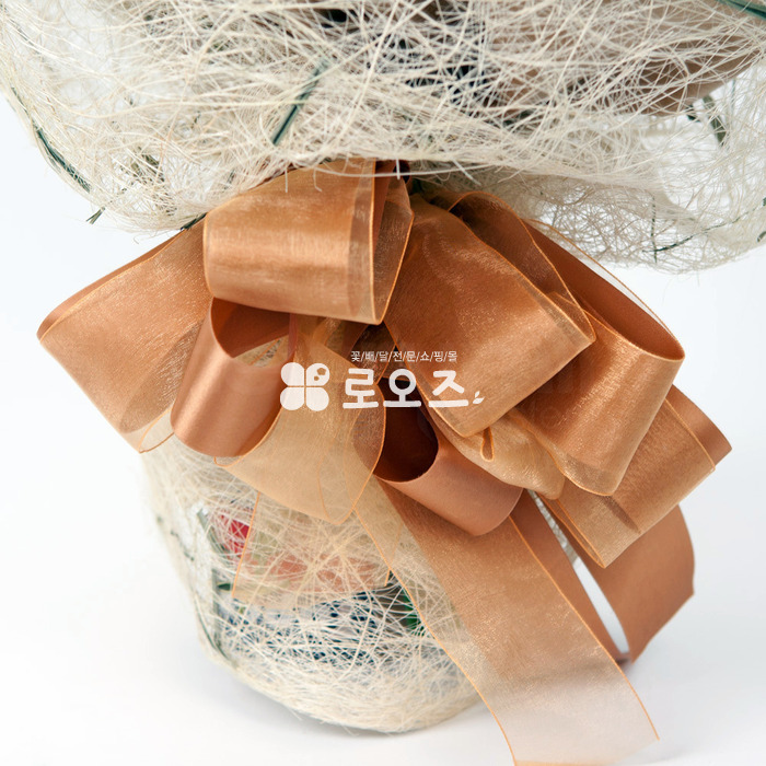 상세이미지