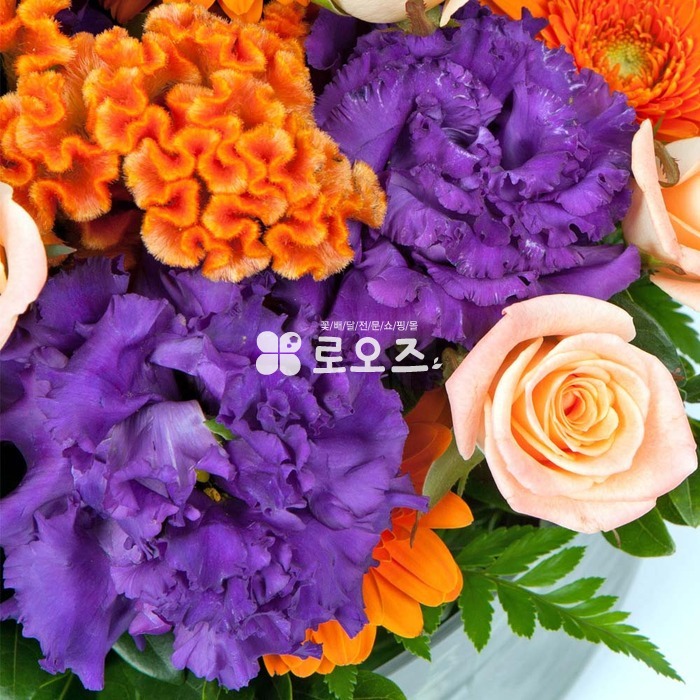 상세이미지