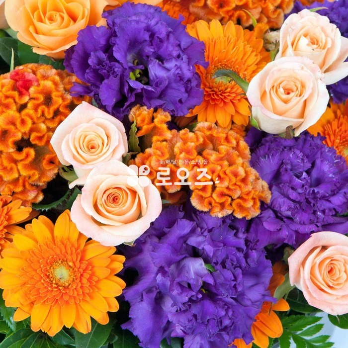 상세이미지
