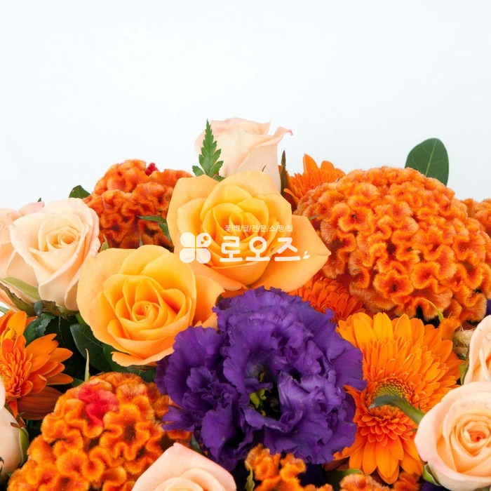 상세이미지