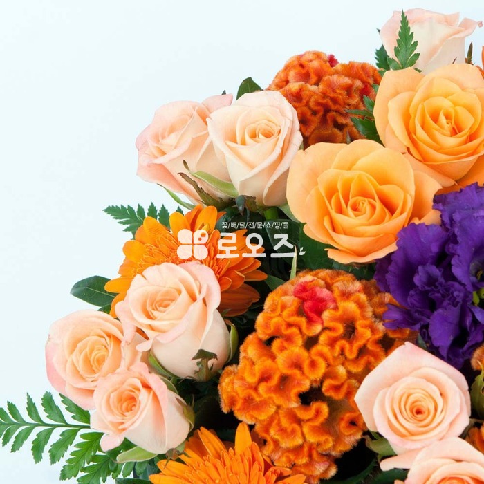 상세이미지