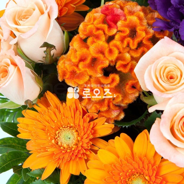 상세이미지