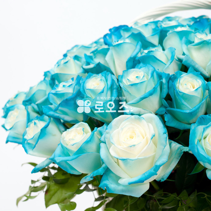 상세이미지
