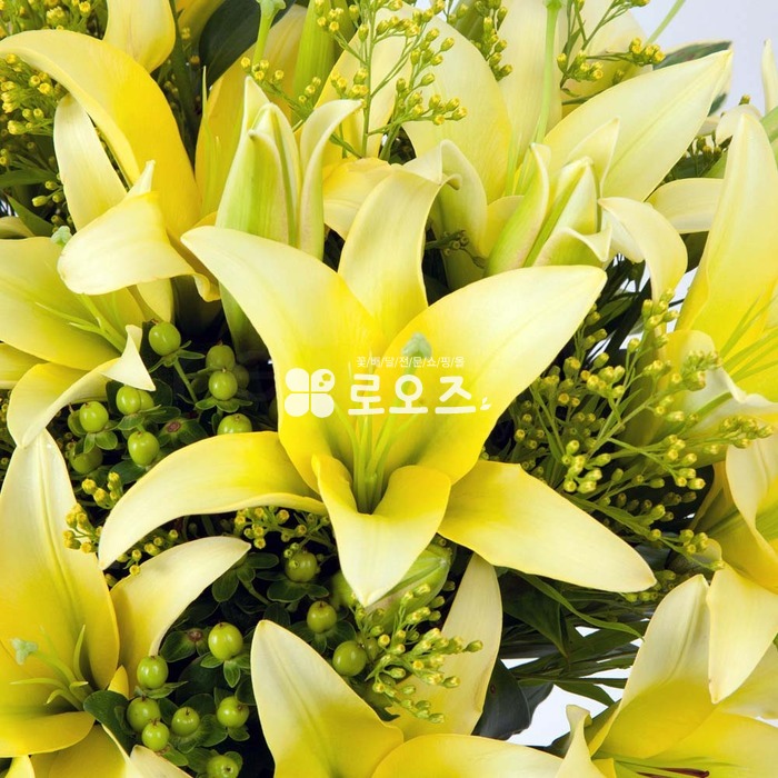 상세이미지