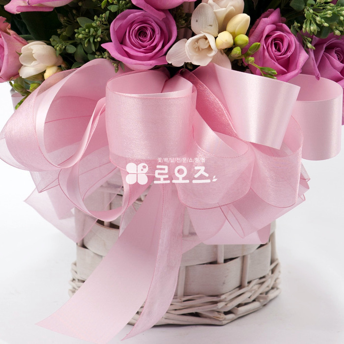 상세이미지