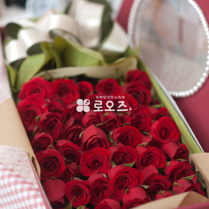 상세이미지