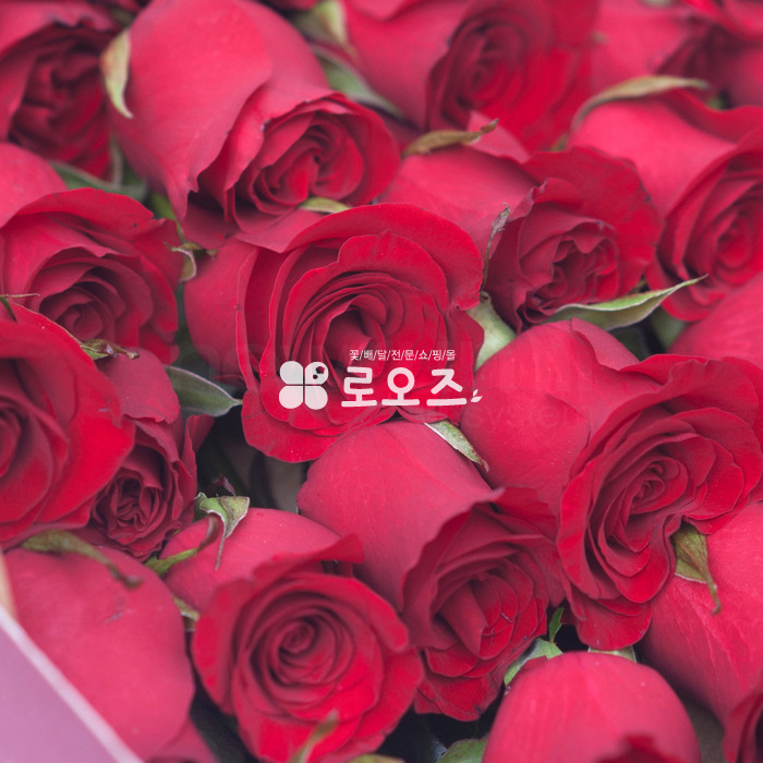 상세이미지