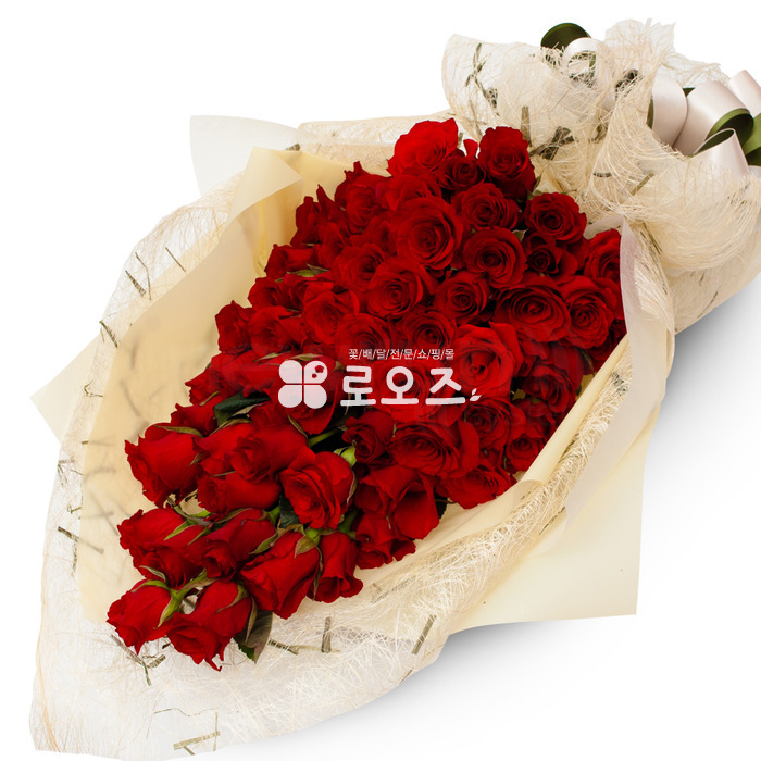 상세이미지