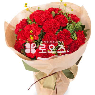 카네이션 꽃다발