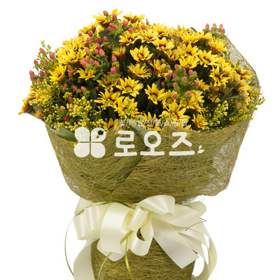 꿀벌의부름