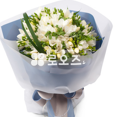 후리지아흰색노란색꽃다발