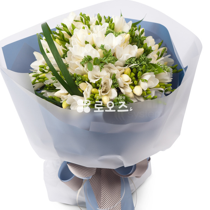 상세이미지