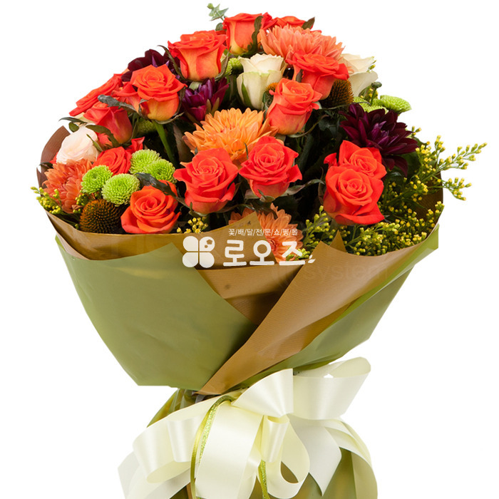 상세이미지