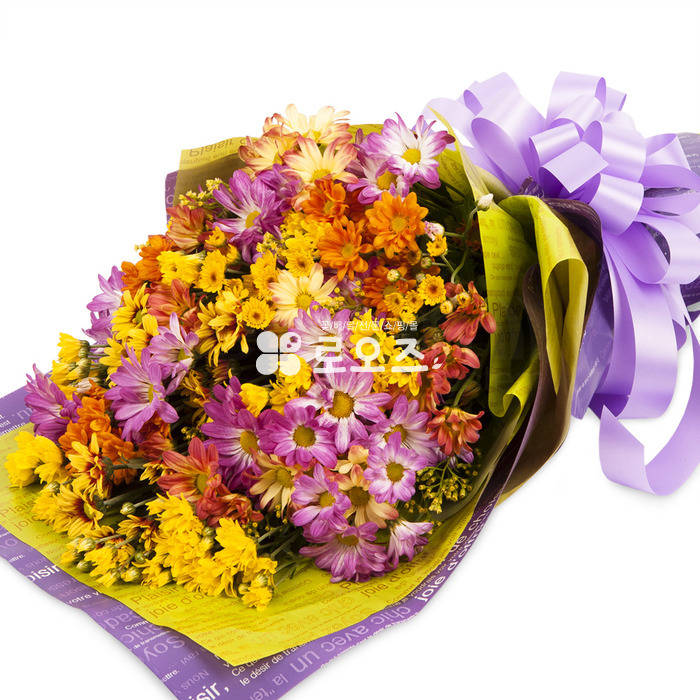 상세이미지