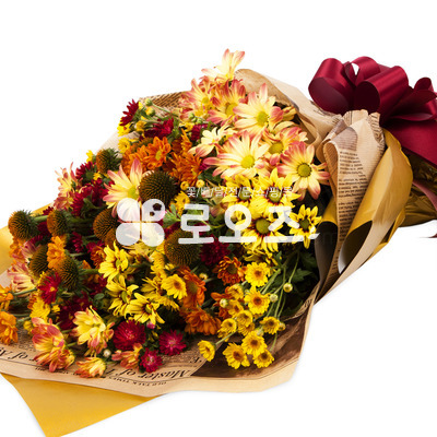 가을소국과의 이야기