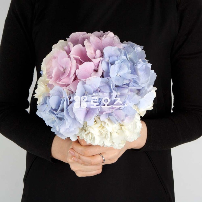 상세이미지