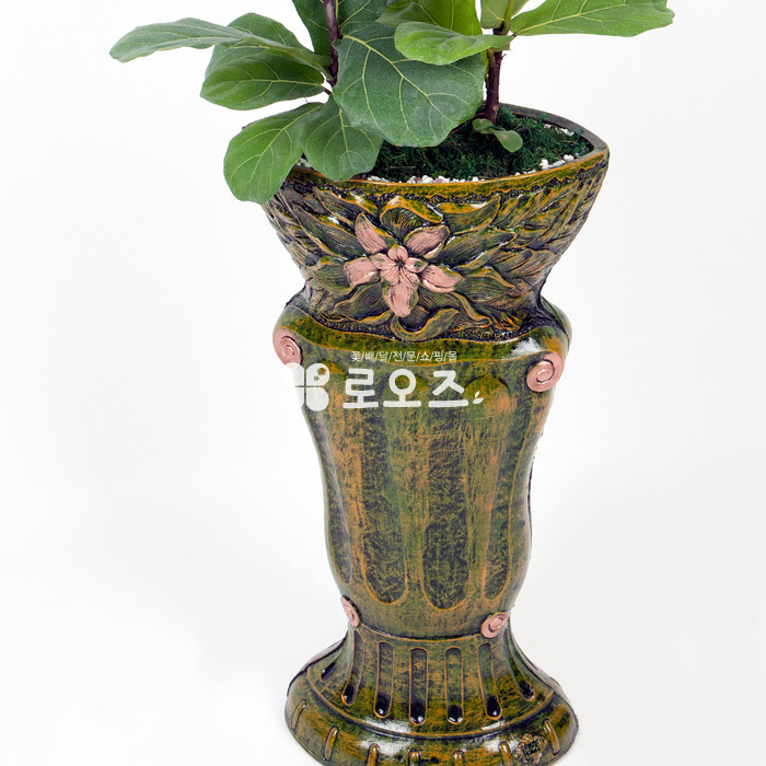 상세이미지