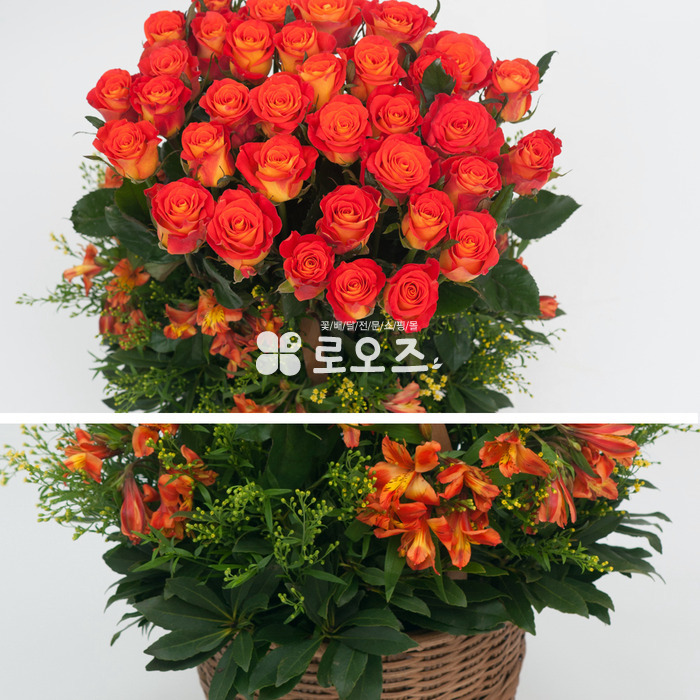 상세이미지