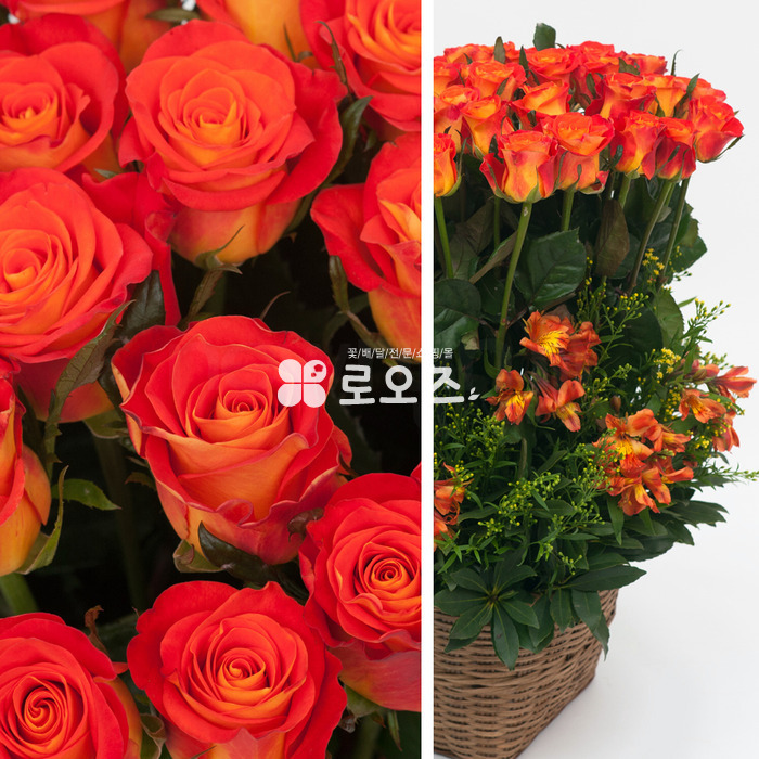 상세이미지