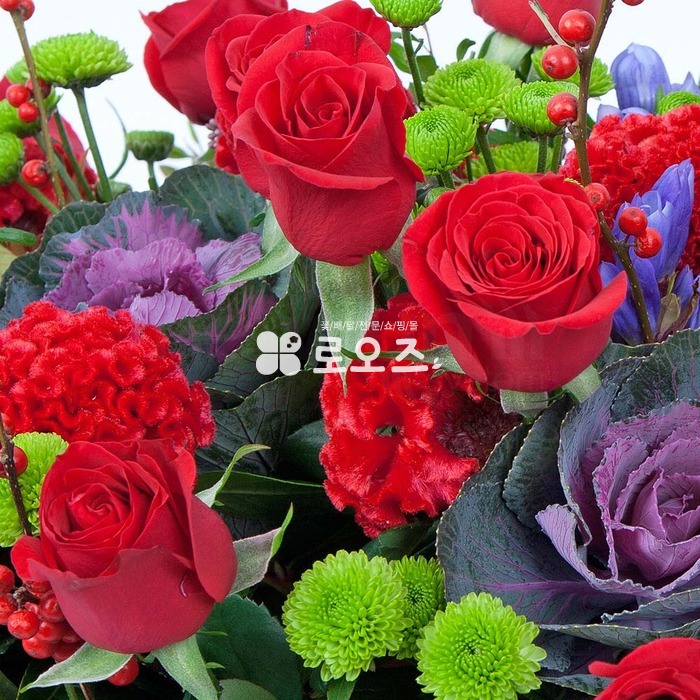 상세이미지