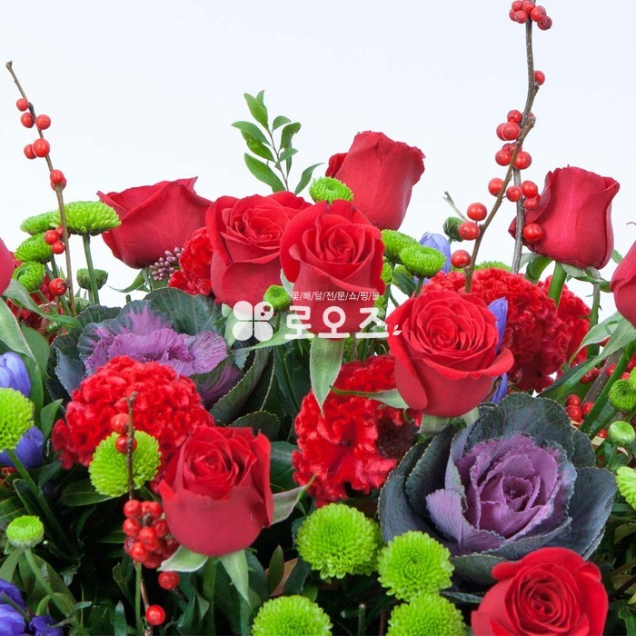 상세이미지