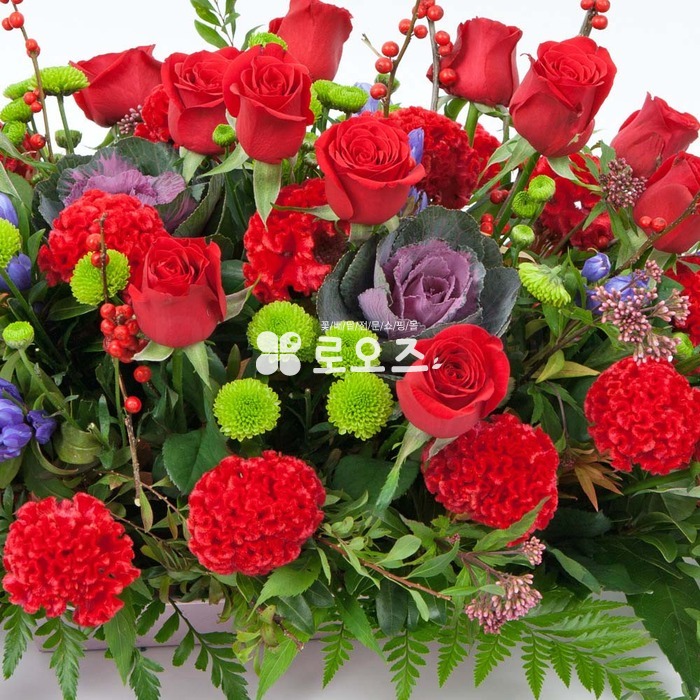 상세이미지
