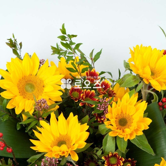 상세이미지
