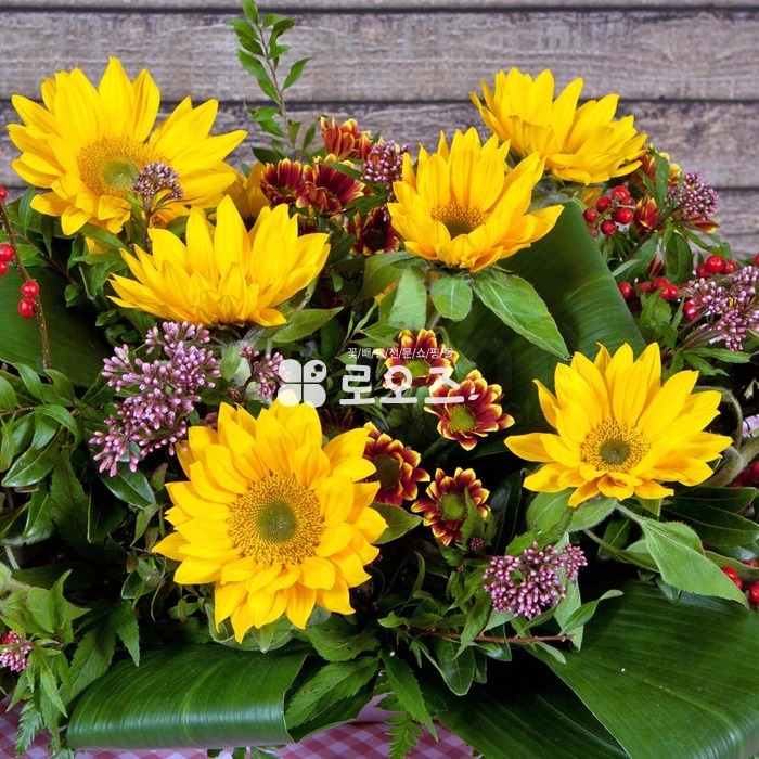 상세이미지