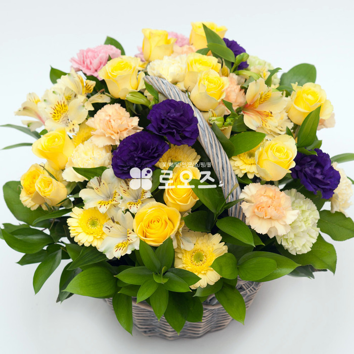 상세이미지