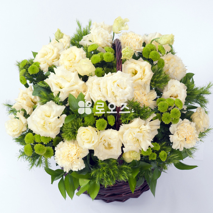 상세이미지