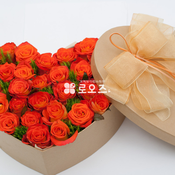 상세이미지