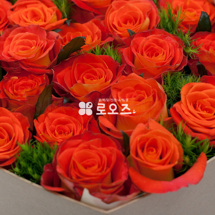 상세이미지