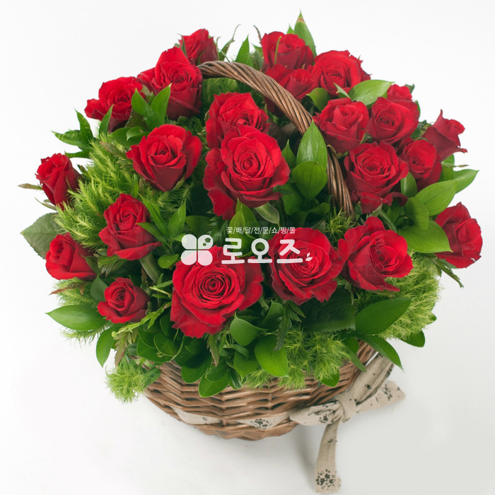 상세이미지