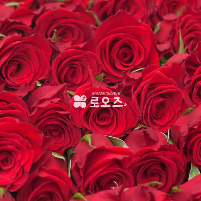 상세이미지