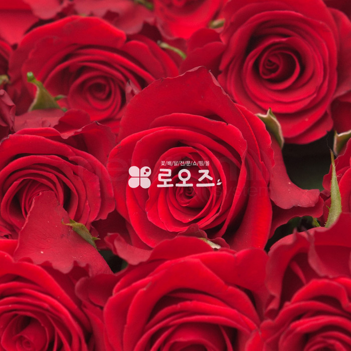 상세이미지