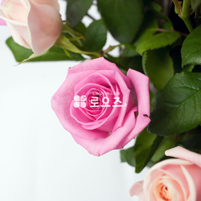 상세이미지