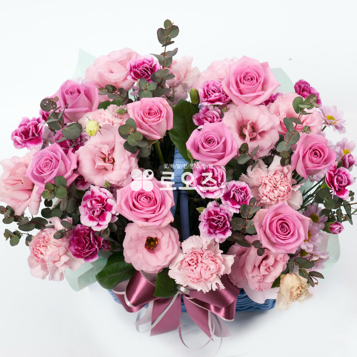 상세이미지