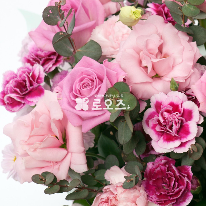 상세이미지