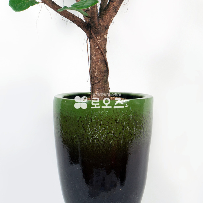 상세이미지