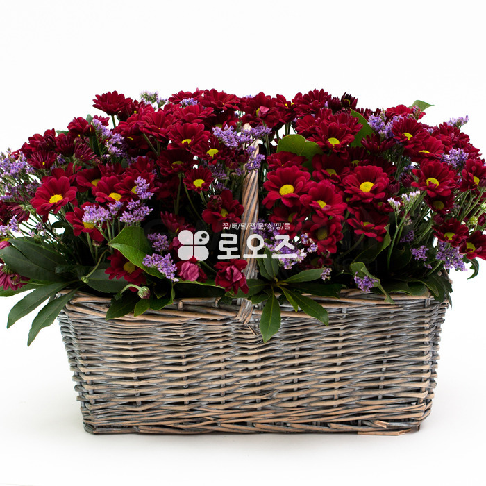 상세이미지