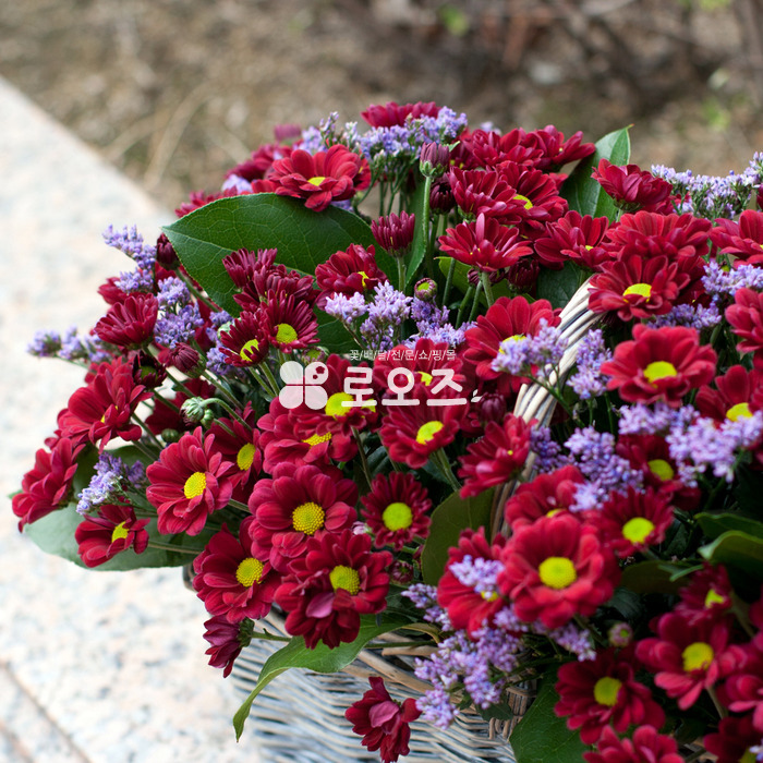 상세이미지