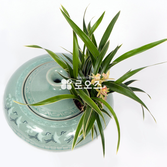 상세이미지