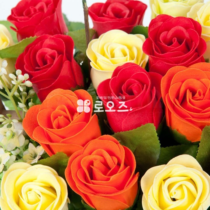 상세이미지
