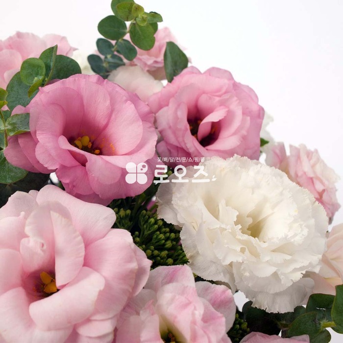 상세이미지