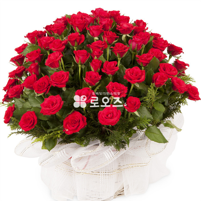 상세이미지