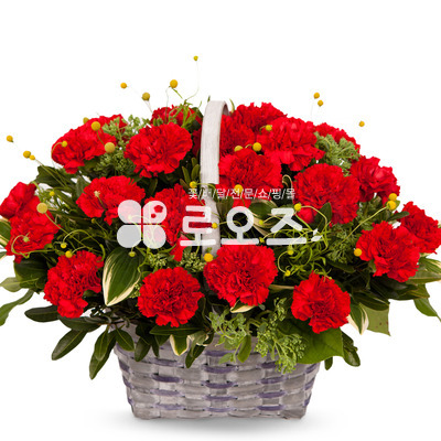 카네이션 바구니