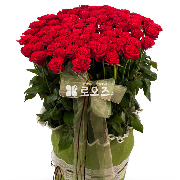 상세이미지