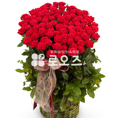 사랑하는 그대에게